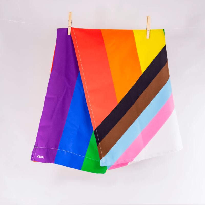 bandera LGBTIQ+ Progresista egoCity